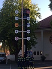 Der neue Maibaum